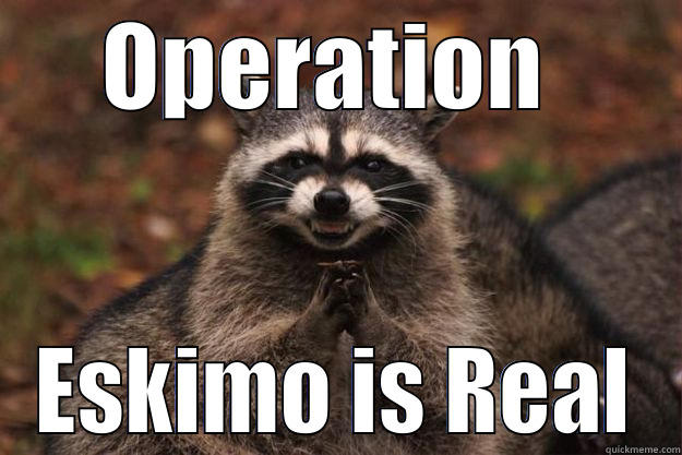 OPERATION  ESKIMO IS REAL Evil Plotting Raccoon