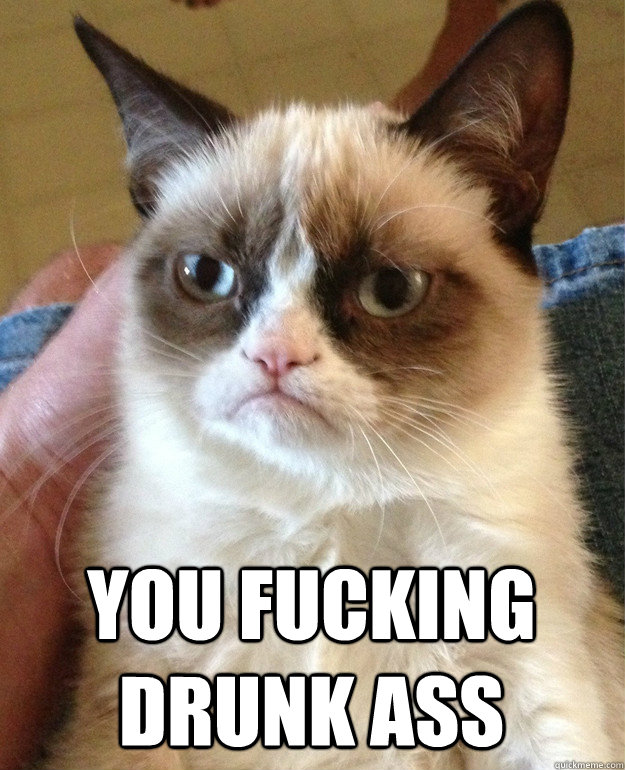  You fucking drunk ass  Grumpy Cat