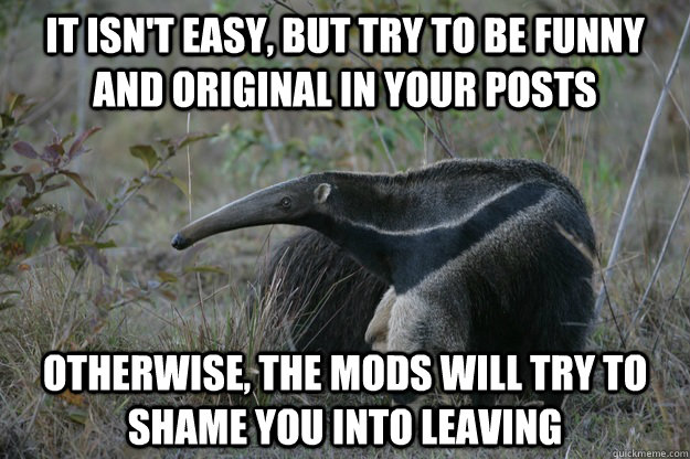 it isn't easy, but try to be funny and original in your posts otherwise, the mods will try to shame you into leaving  Actual Reddit Advice Anteater