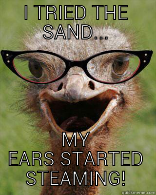 Me!? Never... - I TRIED THE SAND... MY EARS STARTED STEAMING! Judgmental Bookseller Ostrich