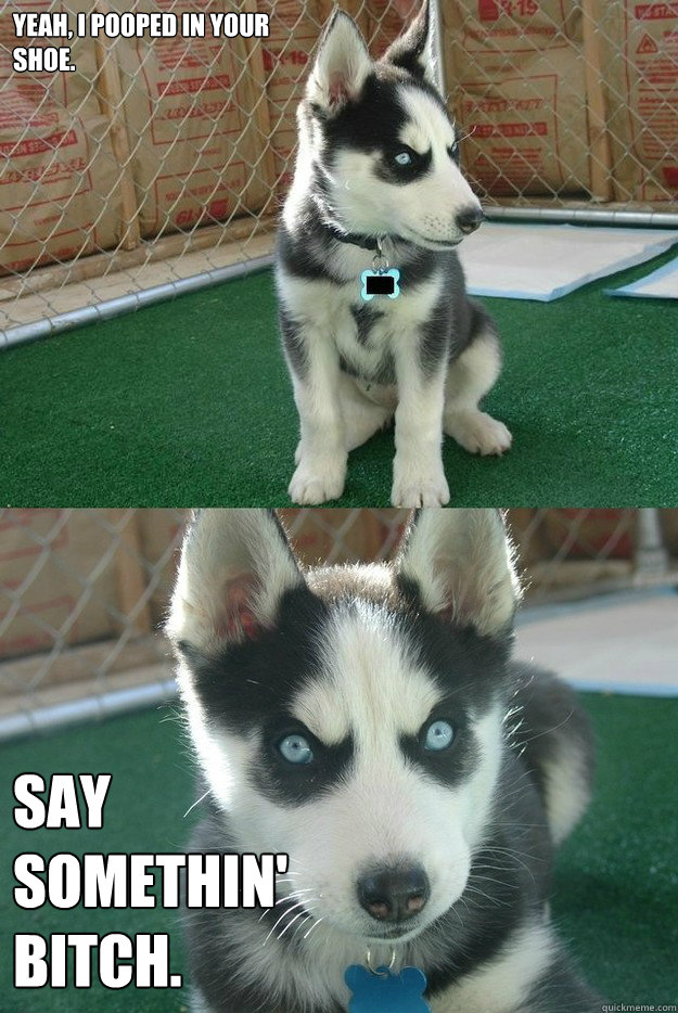 Yeah, I pooped in your 
shoe. Say
Somethin' 
bitch.  Insanity puppy