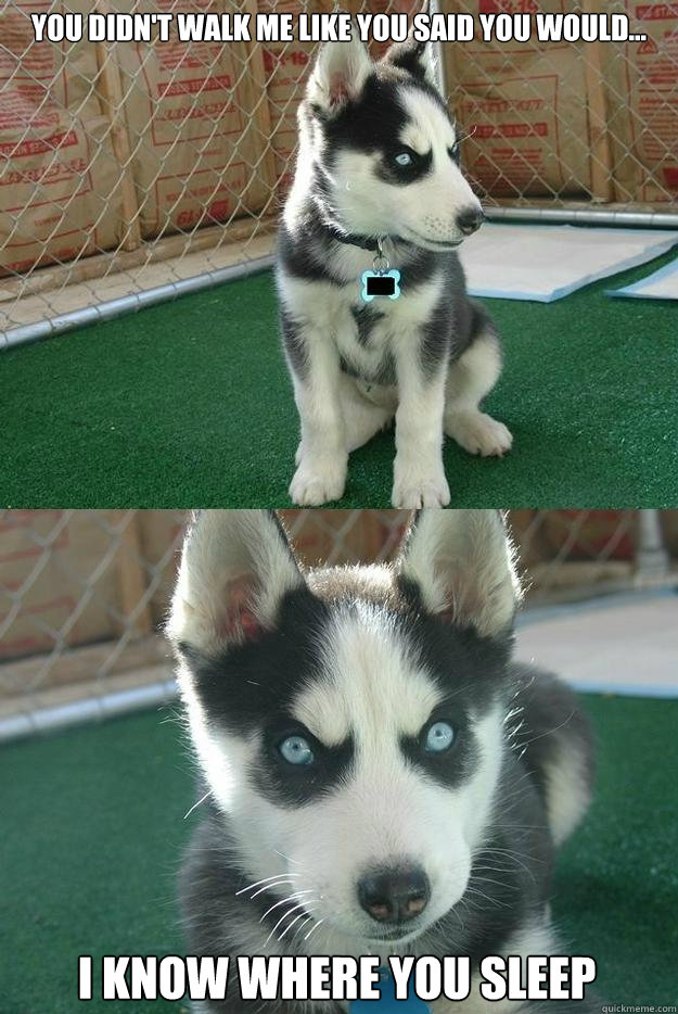 You didn't walk me like you said you would... I know where you sleep  Insanity puppy