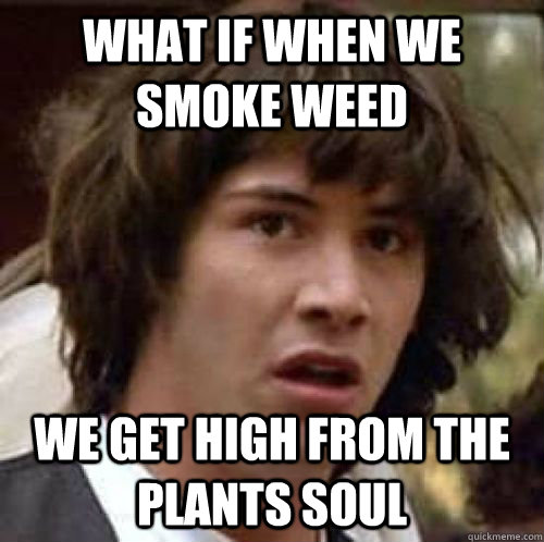 What if when we smoke weed we get high from the plants soul - What if when we smoke weed we get high from the plants soul  conspiracy keanu