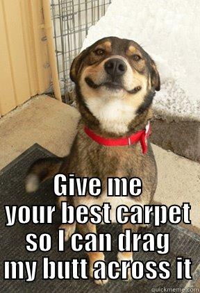 GIVE ME YOUR BEST CARPET SO I CAN DRAG MY BUTT ACROSS IT Good Dog Greg
