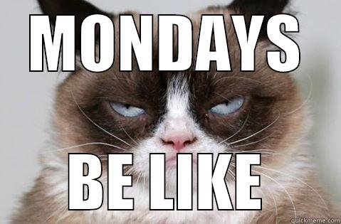 damn mondays - MONDAYS BE LIKE Misc