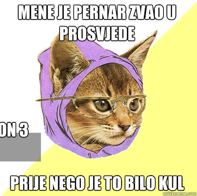 MENE JE PERNAR ZVAO U PROSVJEDE PRIJE NEGO JE TO BILO KUL  Hipster Kitty
