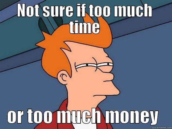 NOT SURE IF TOO MUCH TIME    OR TOO MUCH MONEY    Futurama Fry