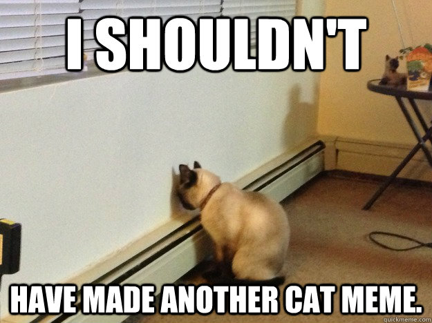 I shouldn't have made another cat meme. - I shouldn't have made another cat meme.  Regretful Cat