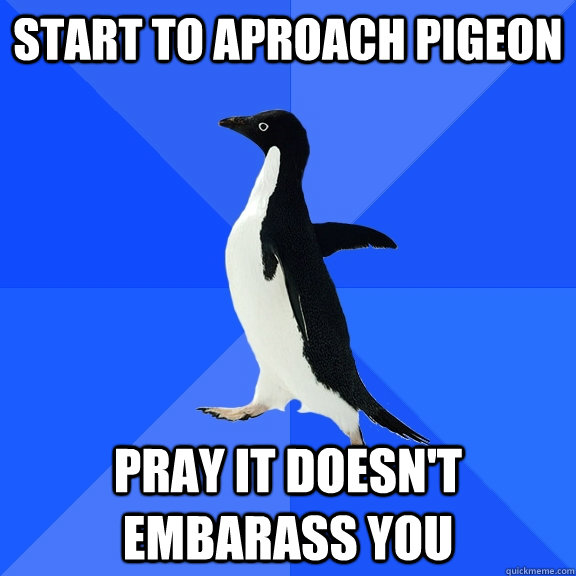 Start to aproach pigeon Pray it doesn't embarass you  Socially Awkward Penguin