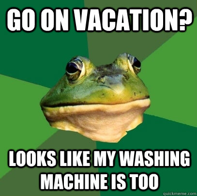 go on vacation? looks like my washing machine is too  Foul Bachelor Frog