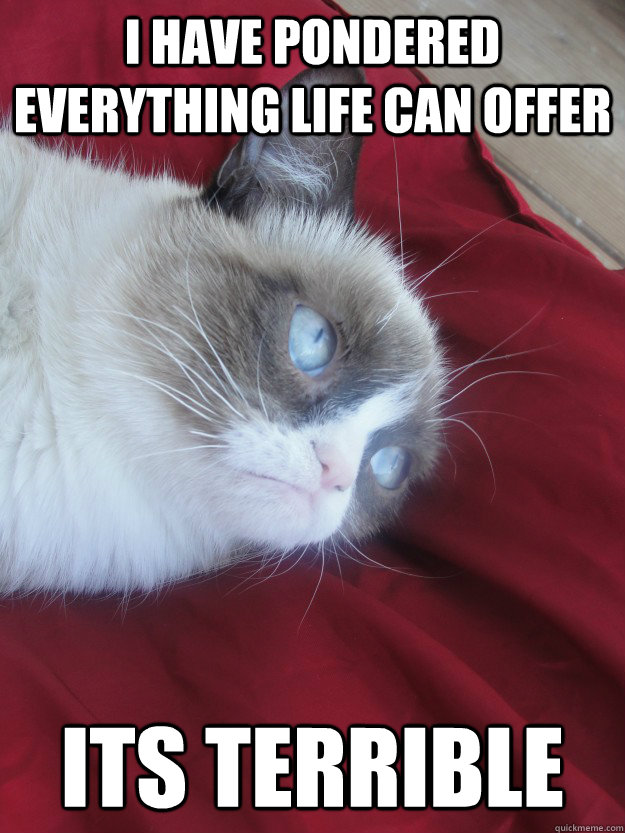 I have pondered everything life can offer Its terrible  Grumpy Cat