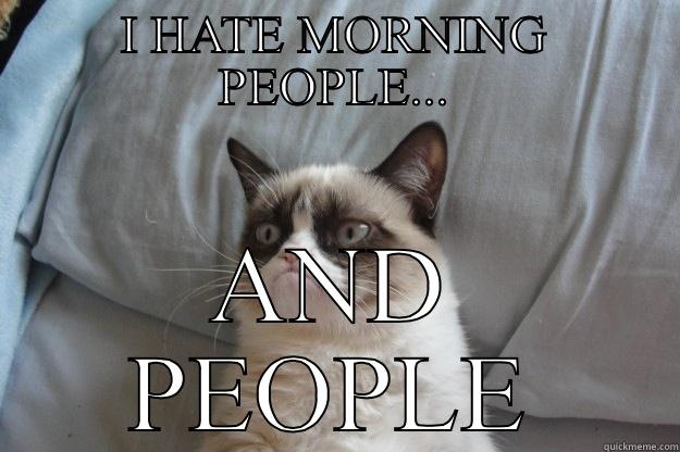 I HATE MORNING PEOPLE... AND PEOPLE Grumpy Cat