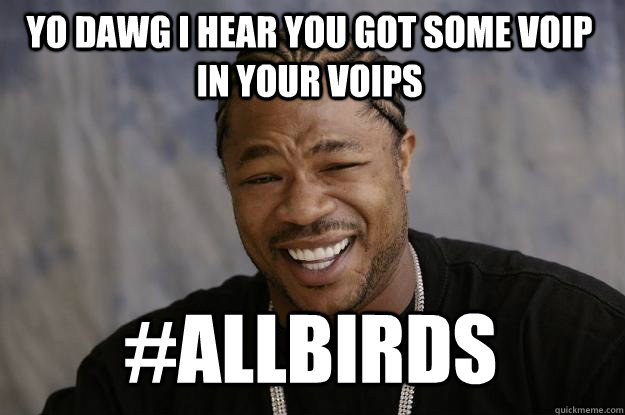 YO DAWG I HEAR YOU GOT SOME VOIP IN YOUR VOIPS #ALLBIRDS  Xzibit meme