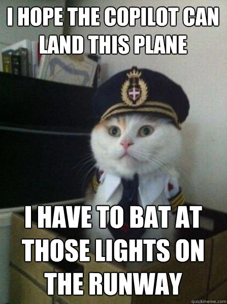 i hope the copilot can land this plane i have to bat at those lights on the runway  Captain kitteh