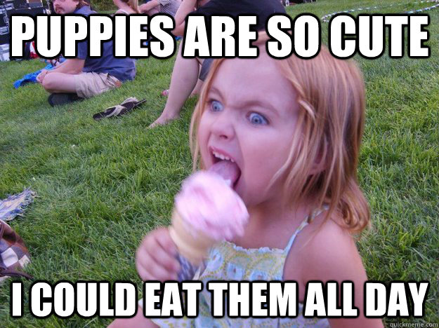 Puppies are so cute i could eat them all day - Puppies are so cute i could eat them all day  Psycho Girl