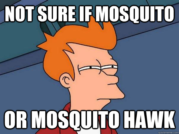 Not sure if mosquito or mosquito hawk - Not sure if mosquito or mosquito hawk  Futurama Fry