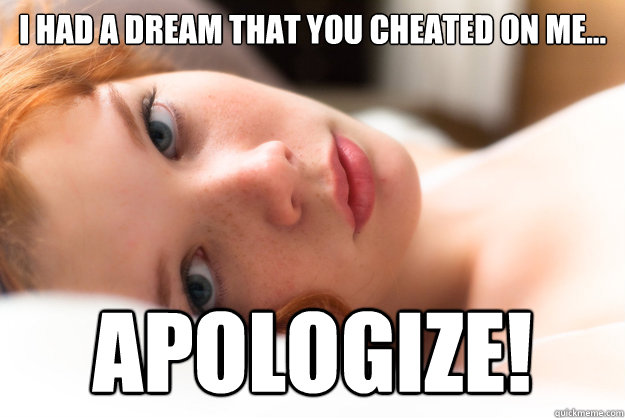I HAD A DREAM THAT YOU CHEATED ON ME... APOLOGIZE!  