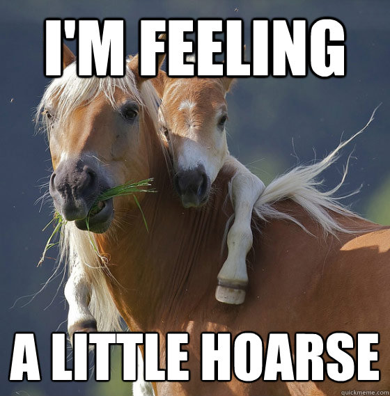 i'm feeling a little hoarse - i'm feeling a little hoarse  Horse on horse