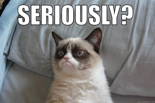 SERIOUSLY?  Grumpy Cat