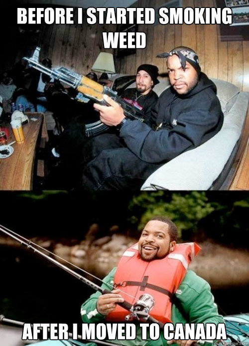 Before i started smoking weed After I moved to Canada  ice cube before and after