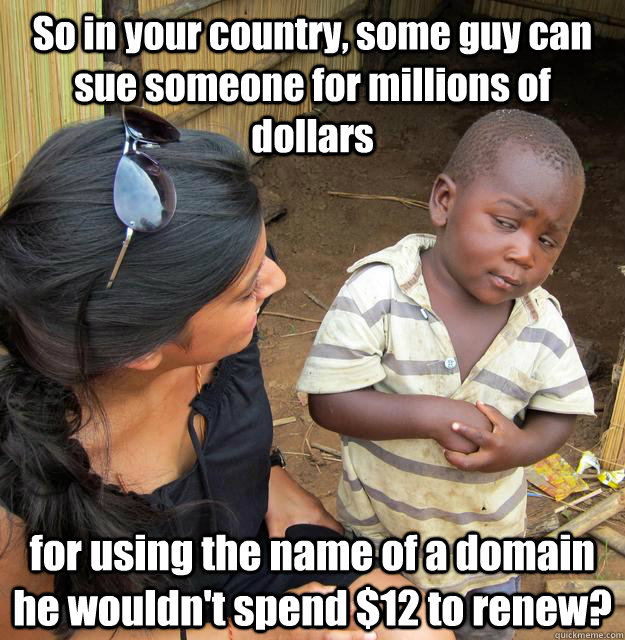 So in your country, some guy can sue someone for millions of dollars for using the name of a domain he wouldn't spend $12 to renew?  Skeptical Third World Kid