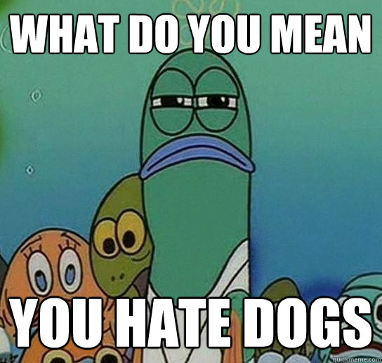 What do you mean you hate dogs  Serious fish SpongeBob