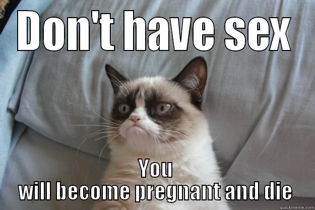DON'T HAVE SEX YOU WILL BECOME PREGNANT AND DIE Grumpy Cat