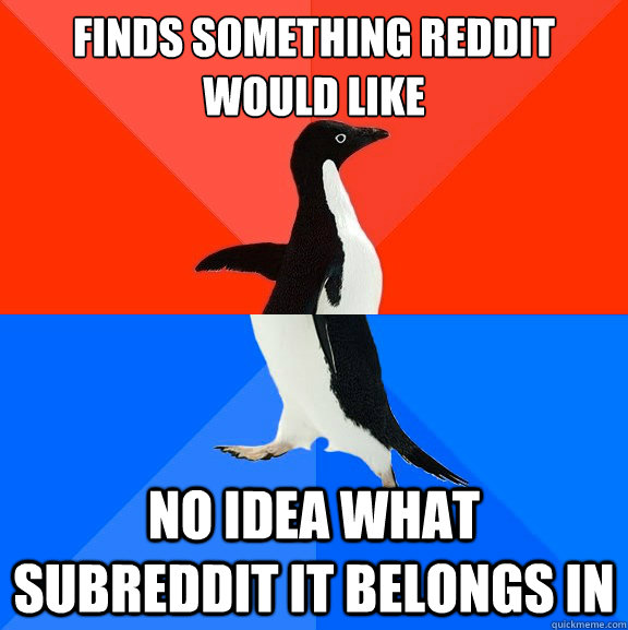 finds something reddit would like no idea what subreddit it belongs in  Socially Awesome Awkward Penguin
