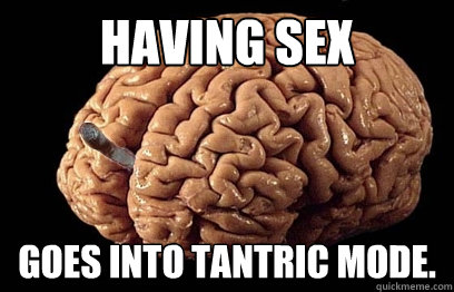 Having sex goes into tantric mode.  Good Guy Brain