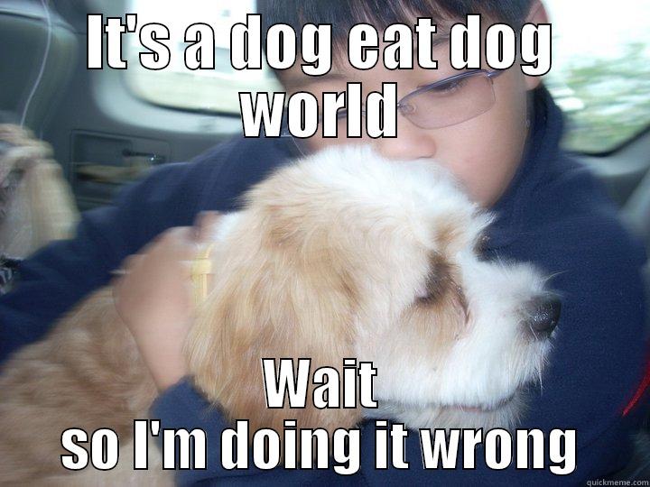 Asian Eats Dog - IT'S A DOG EAT DOG WORLD WAIT SO I'M DOING IT WRONG Misc