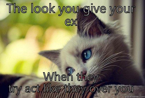 THE LOOK YOU GIVE YOUR EX WHEN THEY TRY ACT LIKE THEY OVER YOU First World Problems Cat