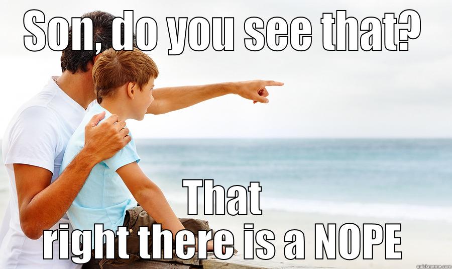 SON, DO YOU SEE THAT? THAT RIGHT THERE IS A NOPE Misc