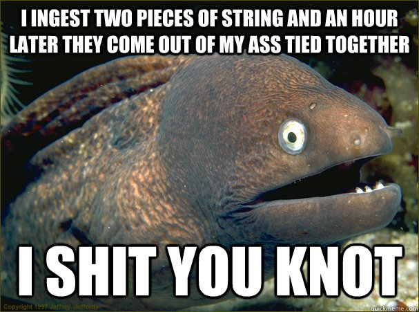 I ingest two pieces of string and an hour later they come out of my ass tied together i shit you knot  Bad Joke Eel