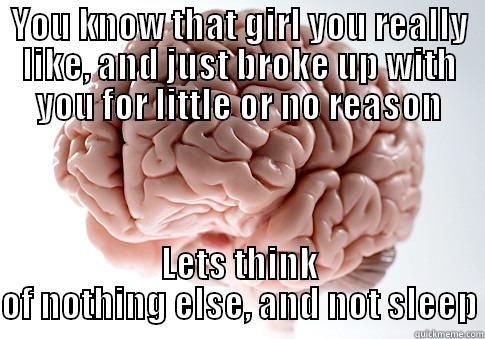 YOU KNOW THAT GIRL YOU REALLY LIKE, AND JUST BROKE UP WITH YOU FOR LITTLE OR NO REASON LETS THINK OF NOTHING ELSE, AND NOT SLEEP Scumbag Brain
