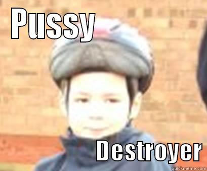 PUSSY                                       DESTROYER Misc