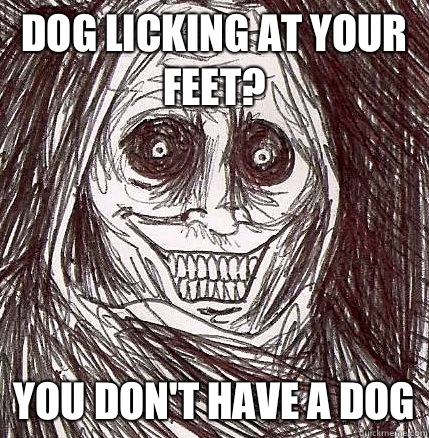 dog licking at your feet? you don't have a dog  Horrifying Houseguest