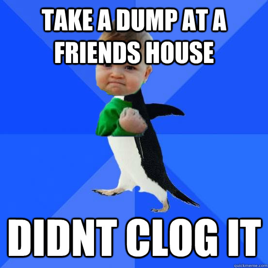 Take a dump at a friends house didnt clog it  Socially Awkward Success Kid