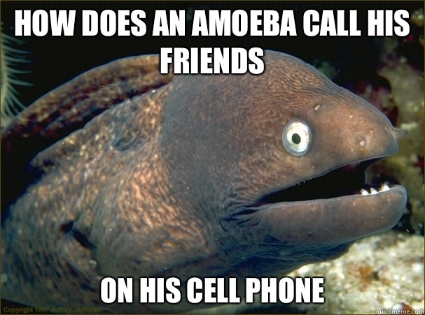 How does an amoeba call his friends On his cell phone  - How does an amoeba call his friends On his cell phone   Bad Joke Eel