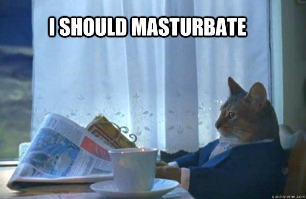 I should masturbate  Sophisticated Cat