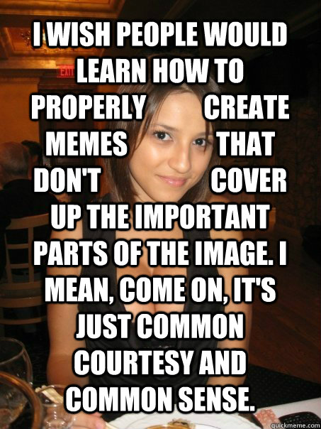 I wish people would learn how to properly           create memes                 that don't                     cover up the important parts of the image. I mean, come on, it's just common courtesy and common sense.  cant find boob girls meme