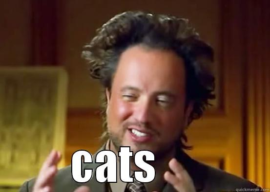  CATS     Misc