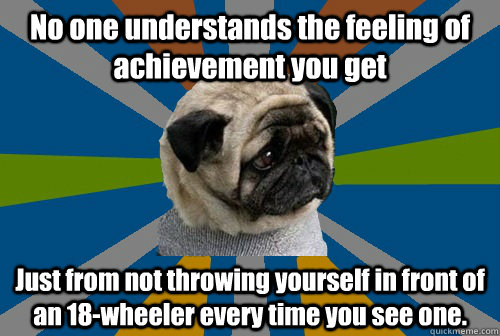 No one understands the feeling of achievement you get Just from not throwing yourself in front of an 18-wheeler every time you see one.  Clinically Depressed Pug