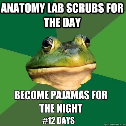 anatomy lab scrubs for the day become pajamas for 
the night #12 days  Foul Bachelor Frog