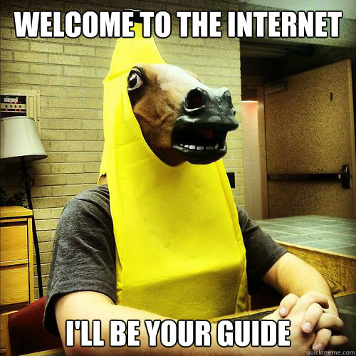 Welcome to the internet I'll be your guide - Welcome to the internet I'll be your guide  Banana Horse