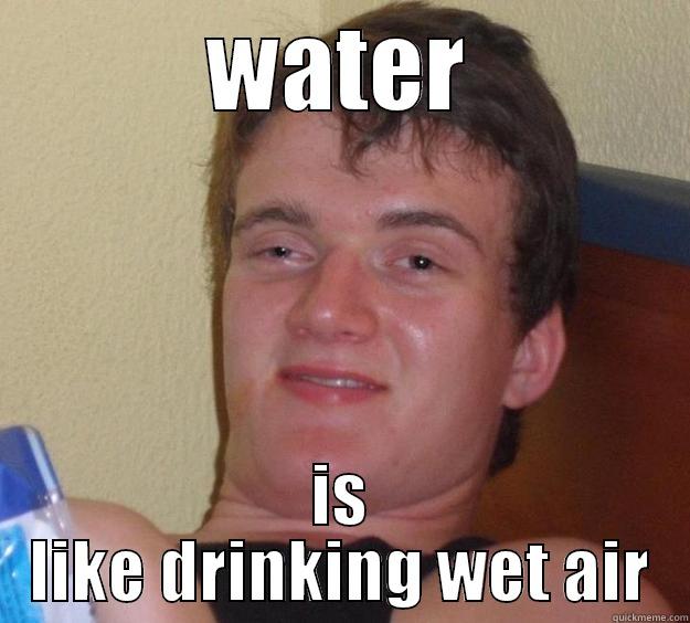 WATER IS LIKE DRINKING WET AIR 10 Guy
