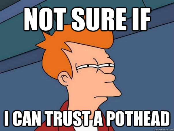 Not sure if i can trust a pothead  Futurama Fry