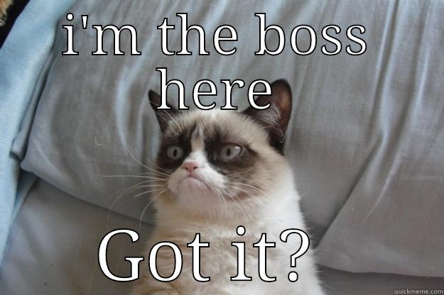 in the boss godt it - I'M THE BOSS HERE GOT IT?  Grumpy Cat