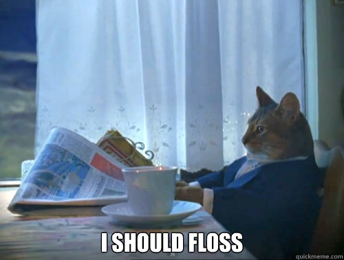  I should floss  The One Percent Cat