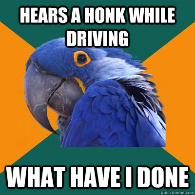 Hears a honk while driving What have I done  Paranoid Parrot