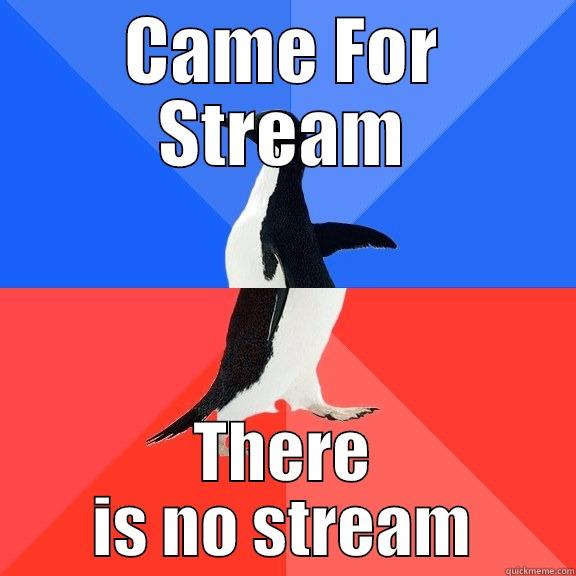 CAME FOR STREAM THERE IS NO STREAM Socially Awkward Awesome Penguin